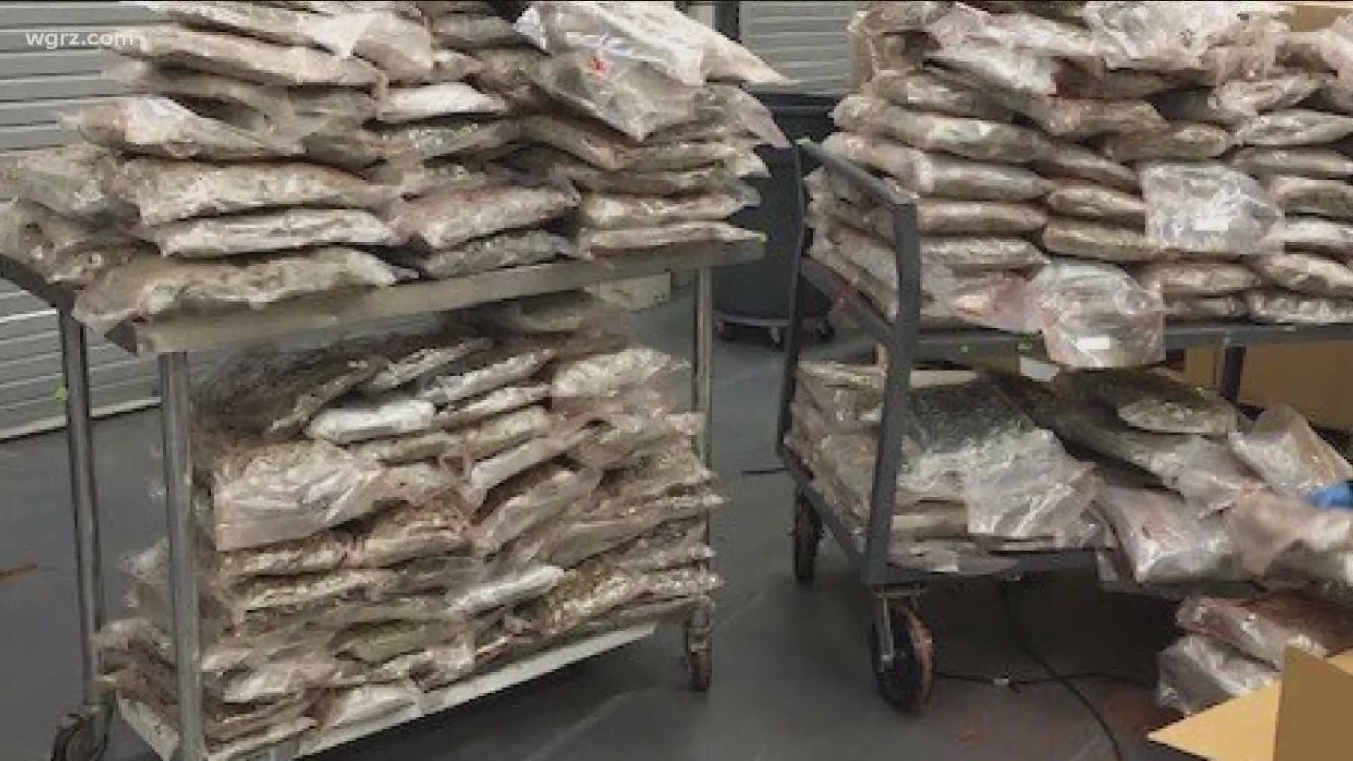 Federal officers at the Peace Bridge intercepted a truckload of marijuana. This has been a n increasing surge of smuggling pot over the border.