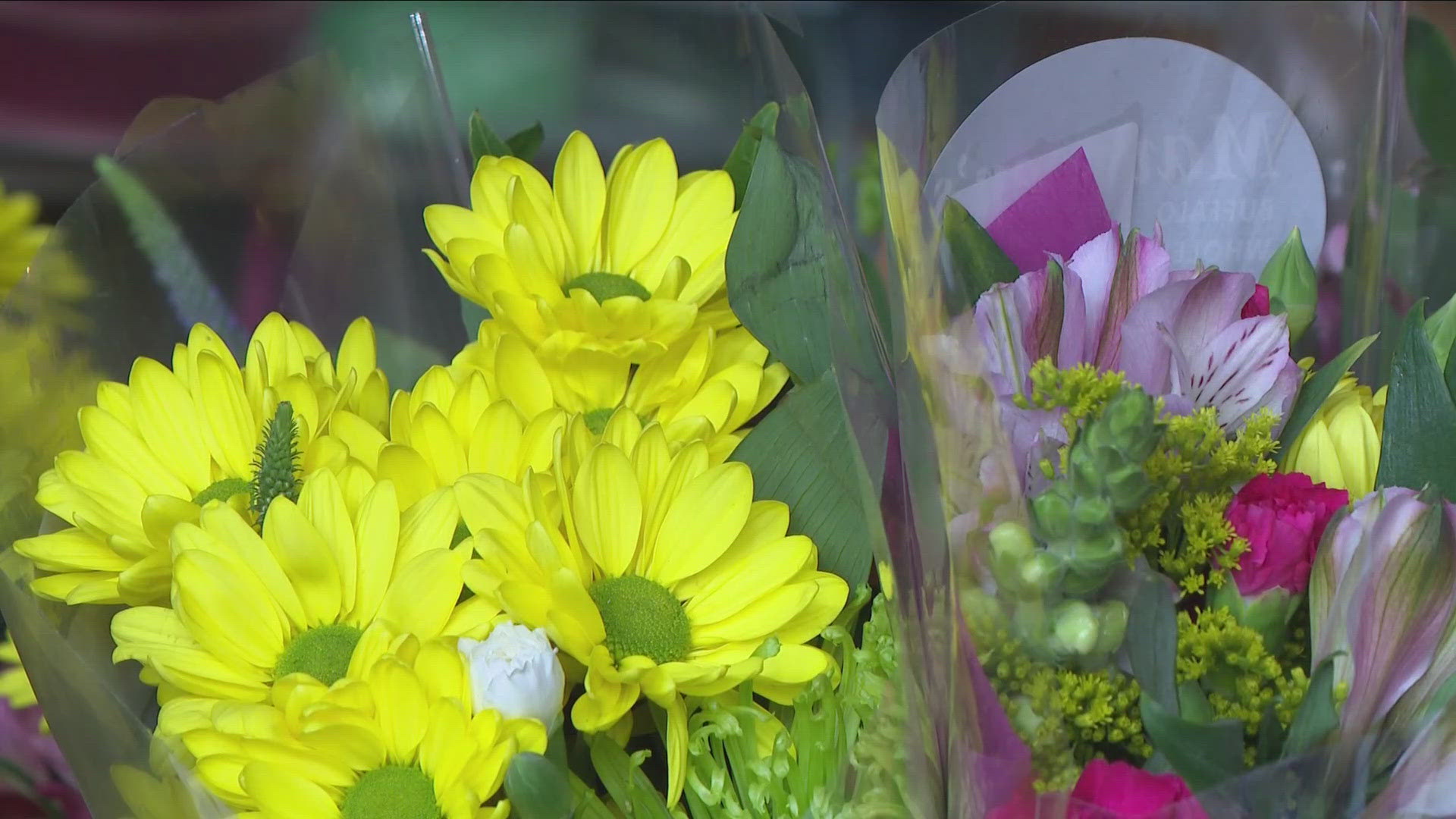 Most Buffalo: 'Petal it Forward'