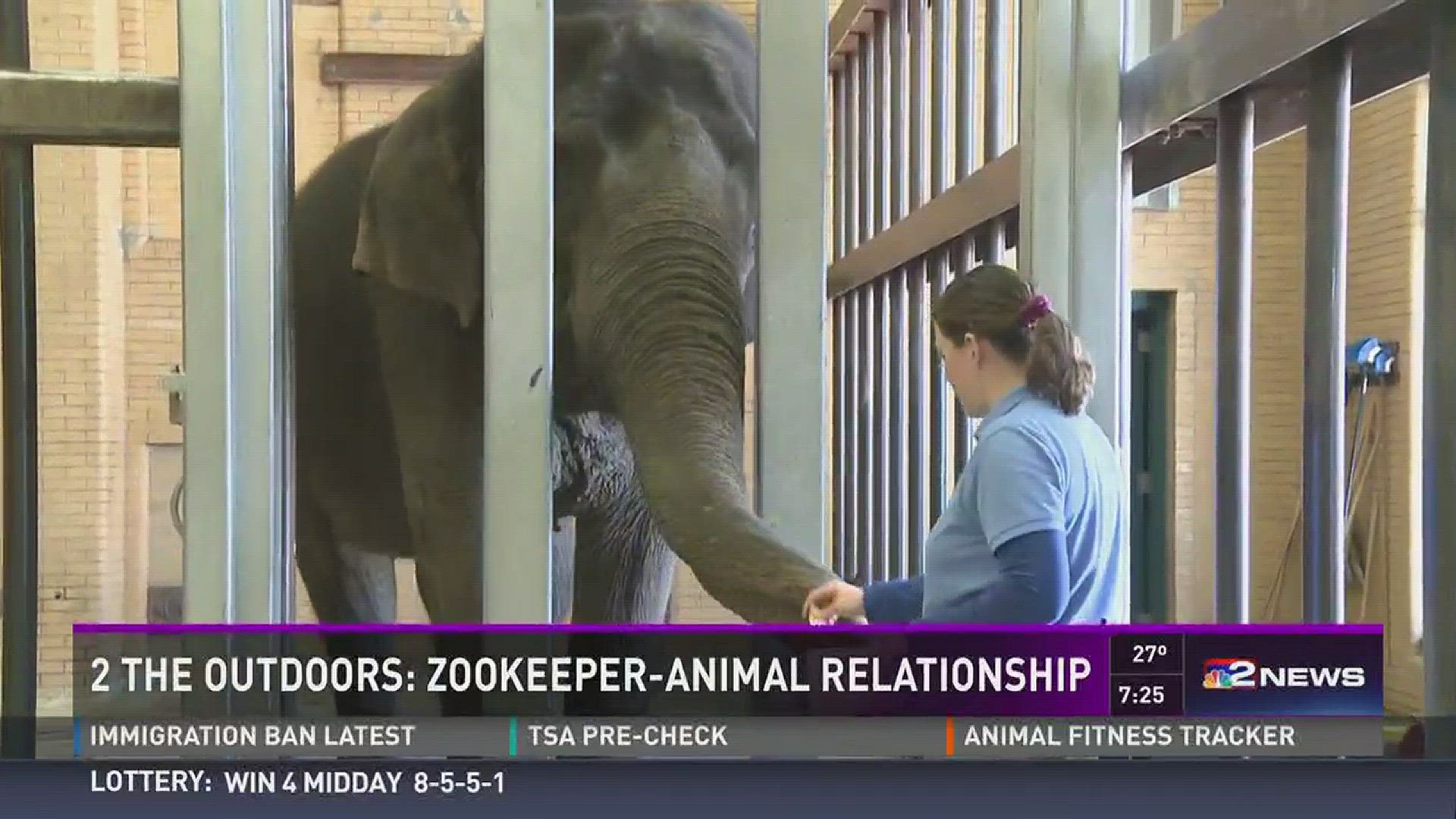 Zookeeper Streaming: Watch & Stream Online via HBO Max