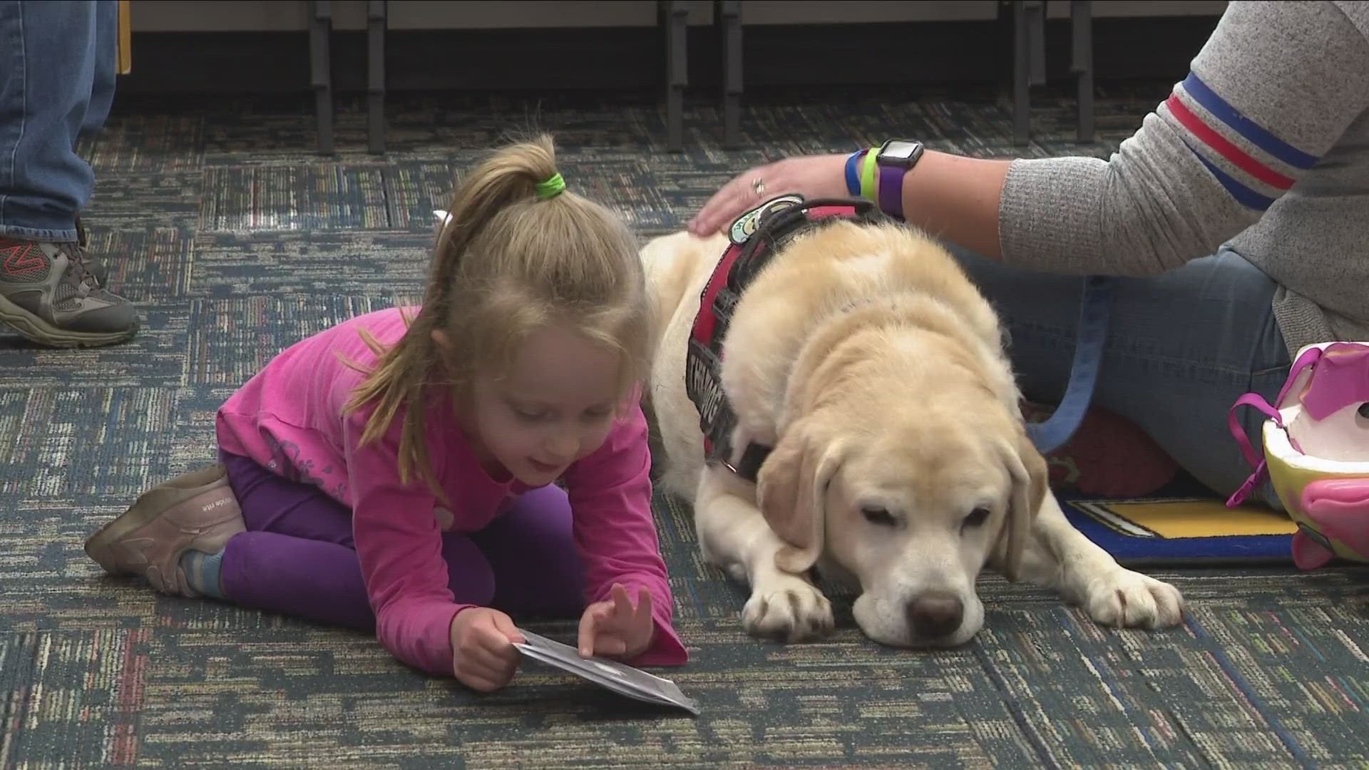 Barks and Books helps kids build their confidence by reading to therapy dogs
