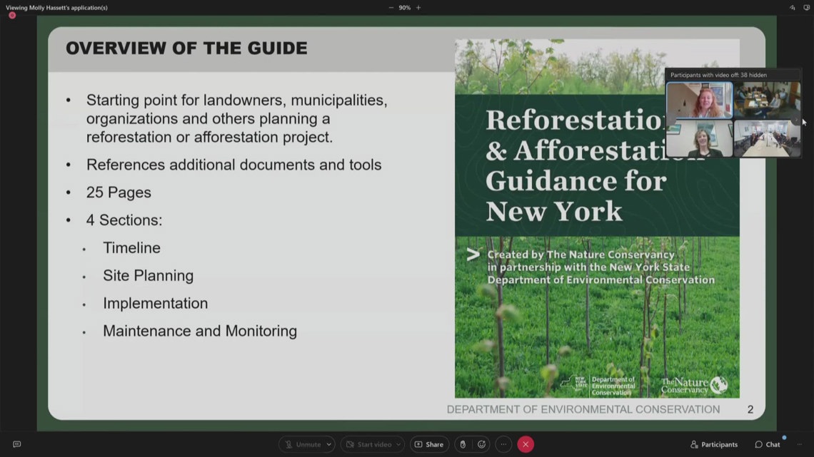 NYS reforestation and afforestation guidance – WGRZ