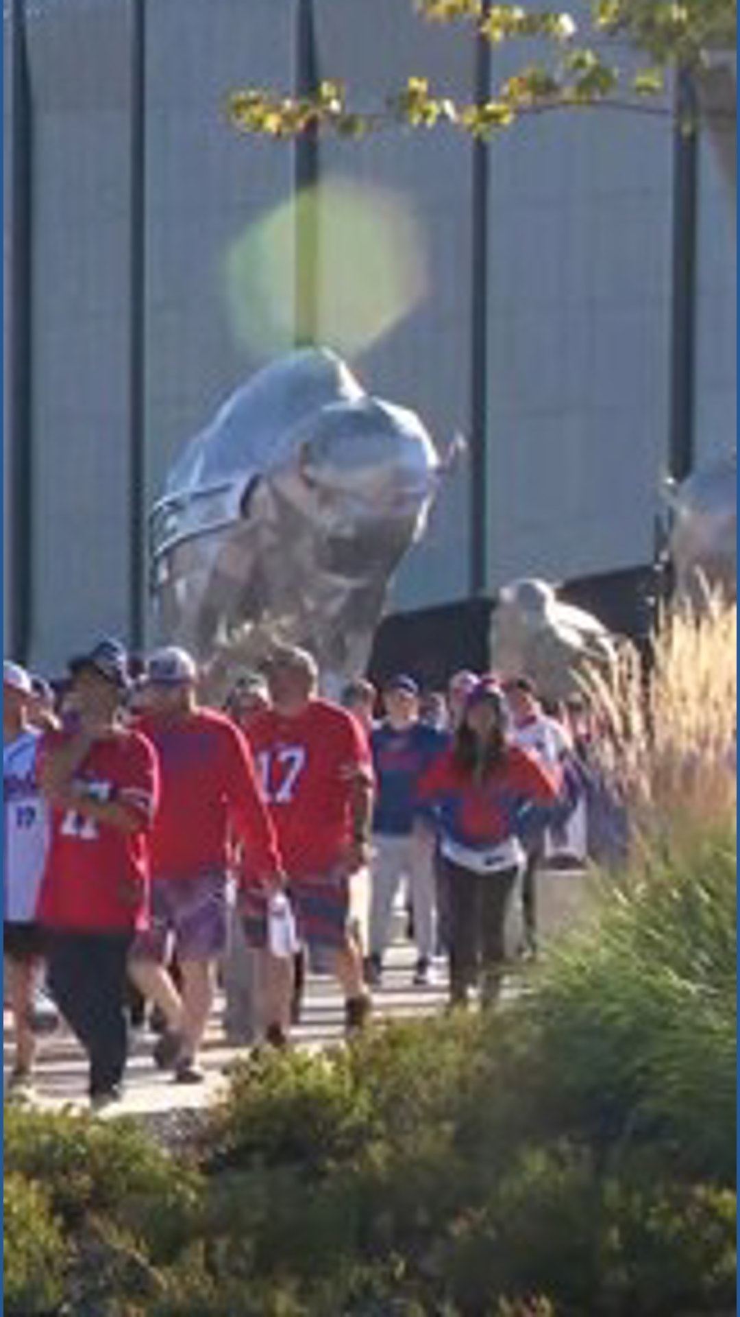Fans react to the Bills loss against the Patriots | wgrz.com