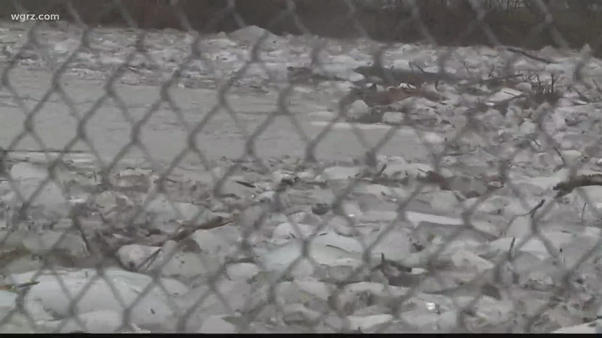 Ice Jams Bring Flooding To WNY Creeks