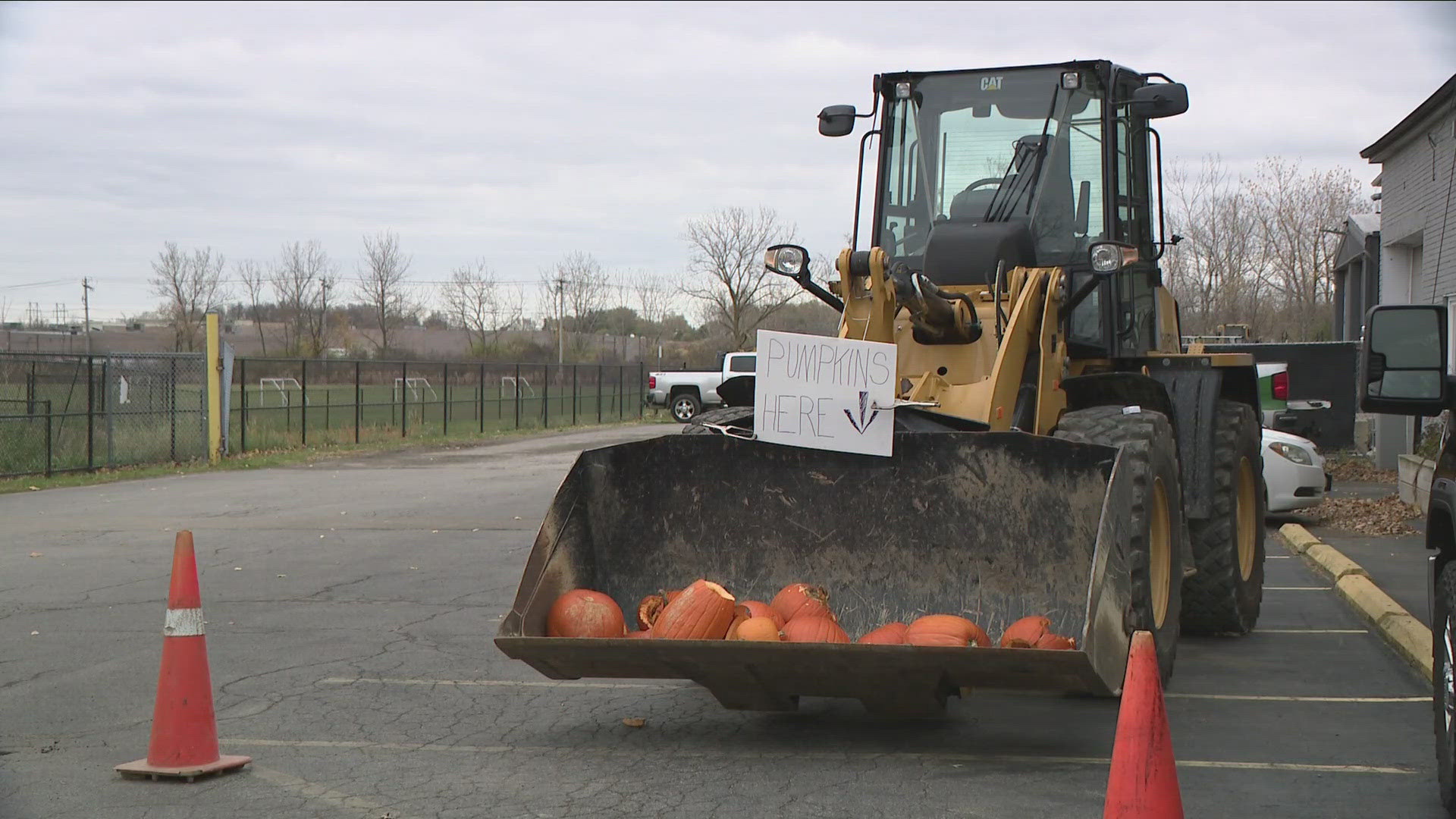 Here's what to do with your pumpkins after Halloween this year, instead of just throwing them away. 