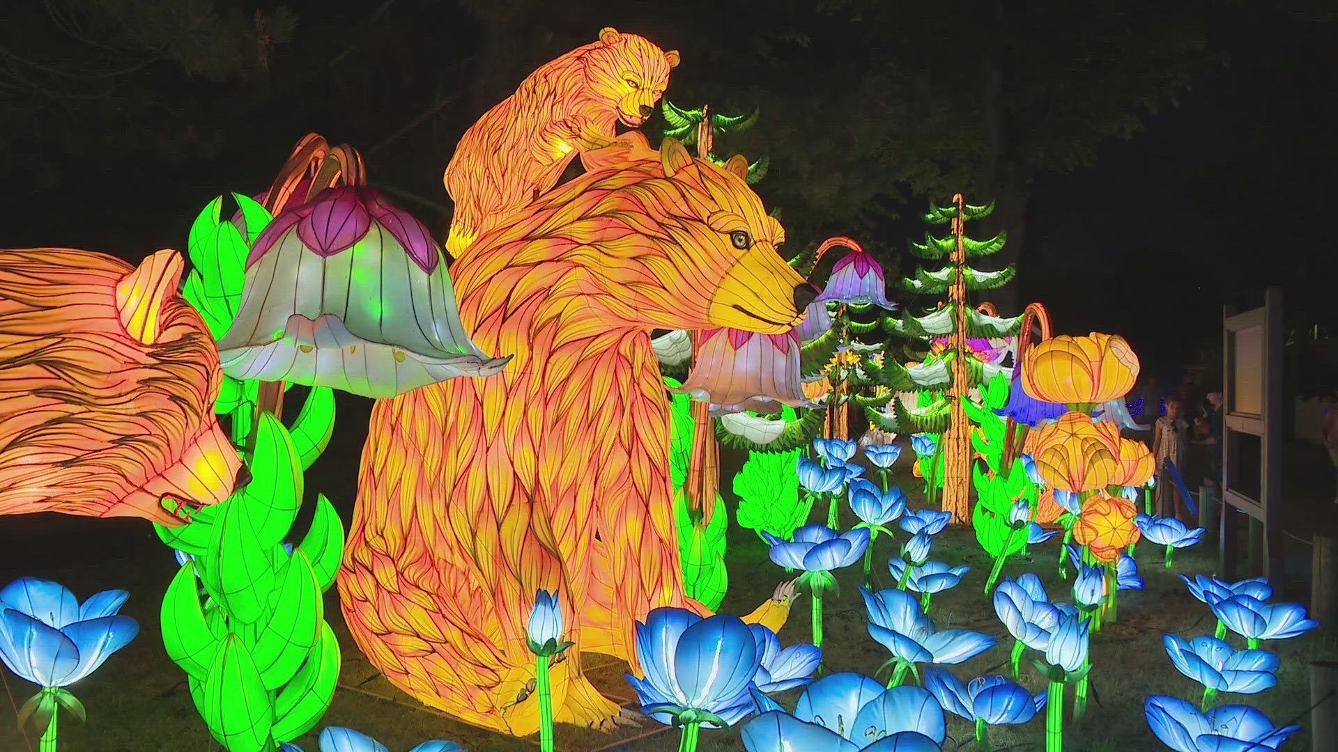 The lantern festival is coming back with new dinosaur exhibits and over 40 lantern displays to dazzle the night sky.