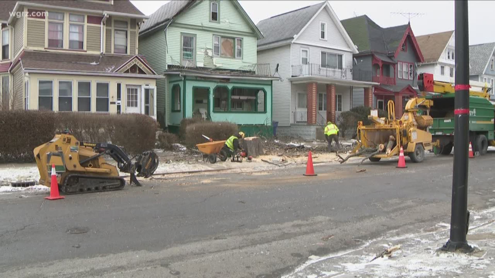 Storm claimed 50 city trees