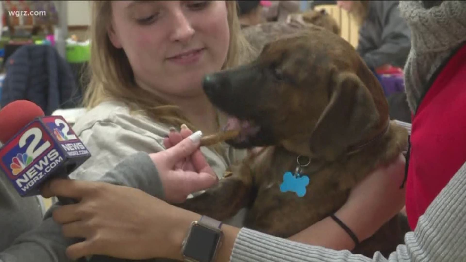 Adopt-a-Thon event happening in WNY