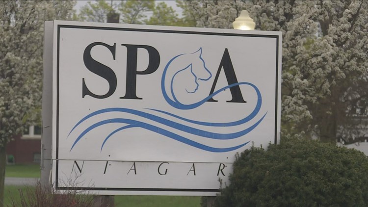 Niagara SPCA is helping family keep their beloved dogs