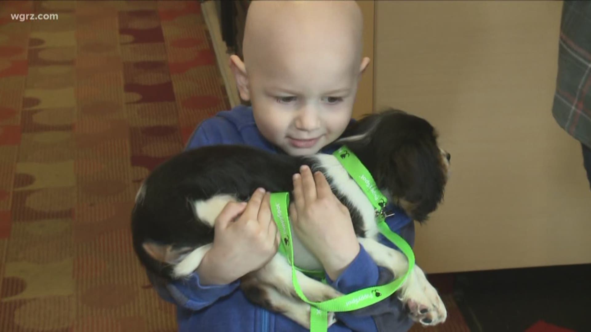 4-year-old Alex Tingley is battling leukemia. Wait until you see the surprise gift he receives.