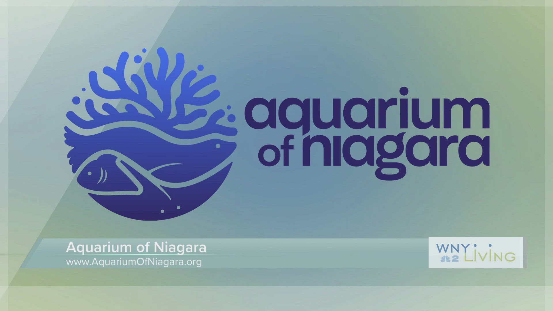 WNY Living - June 28 - Aquarium of Niagara THIS VIDEO IS SPONSORED BY AQUARIUM OF NIAGARA