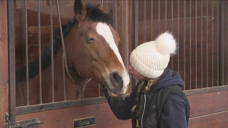 Spruce Meadow Farm holds popular fundraiser for rescue horses