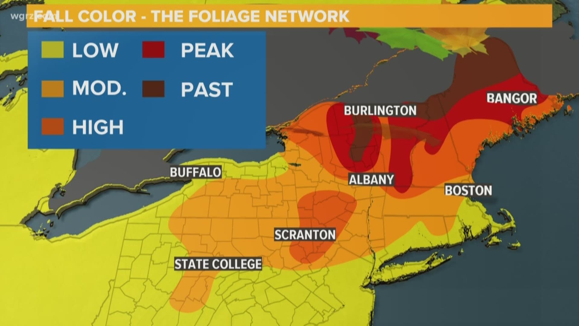 Patrick Hammer explains why the Fall colors this year have not been great.