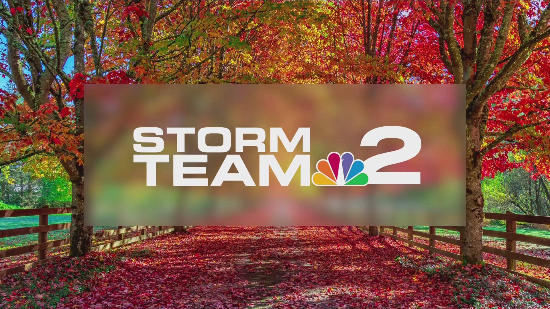 Election Day Storm Team 2 Weather Forecast with Patrick Hammer 11/5/24