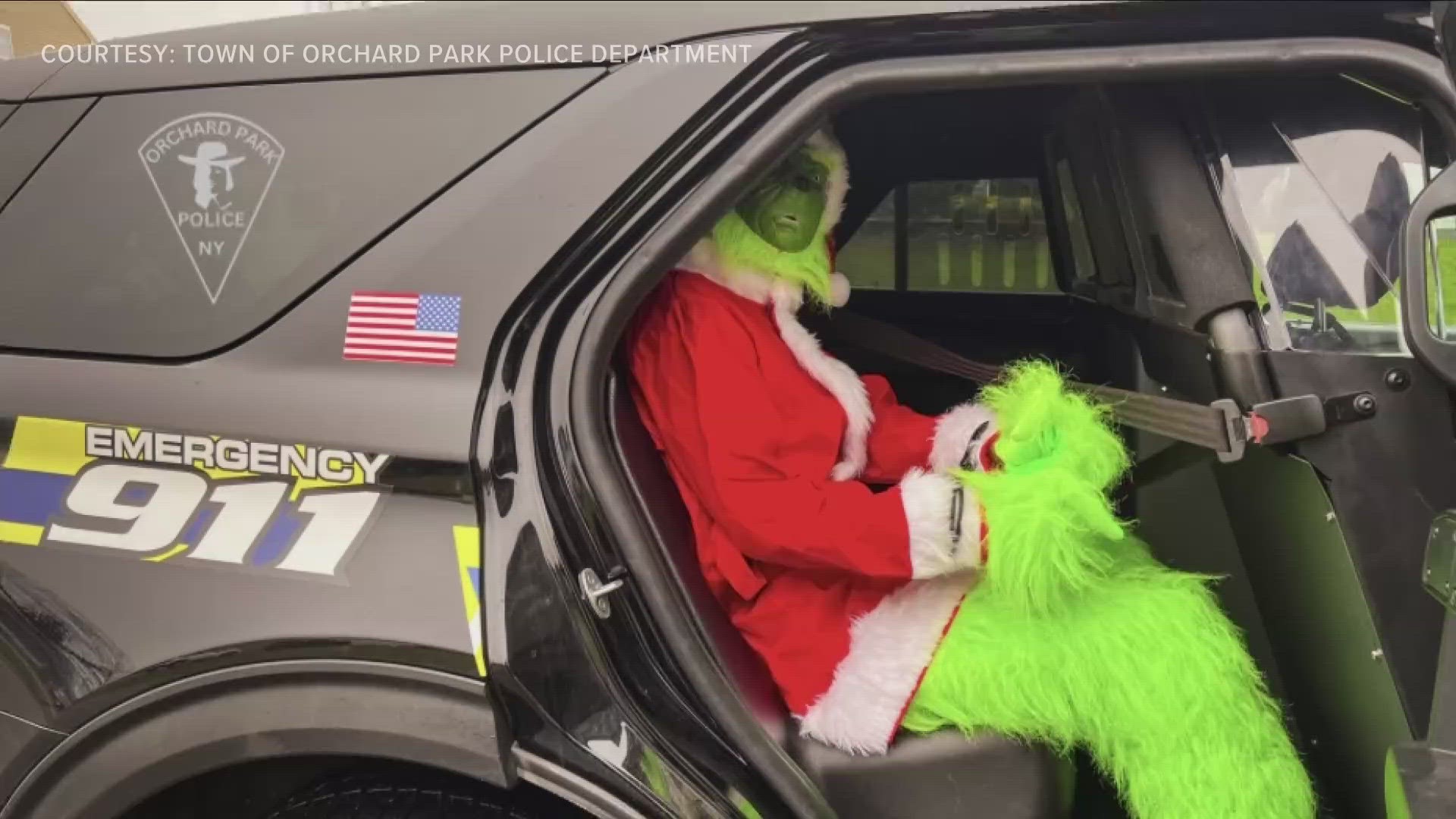 The Grinch Caught In Orchard Park | Wgrz.com