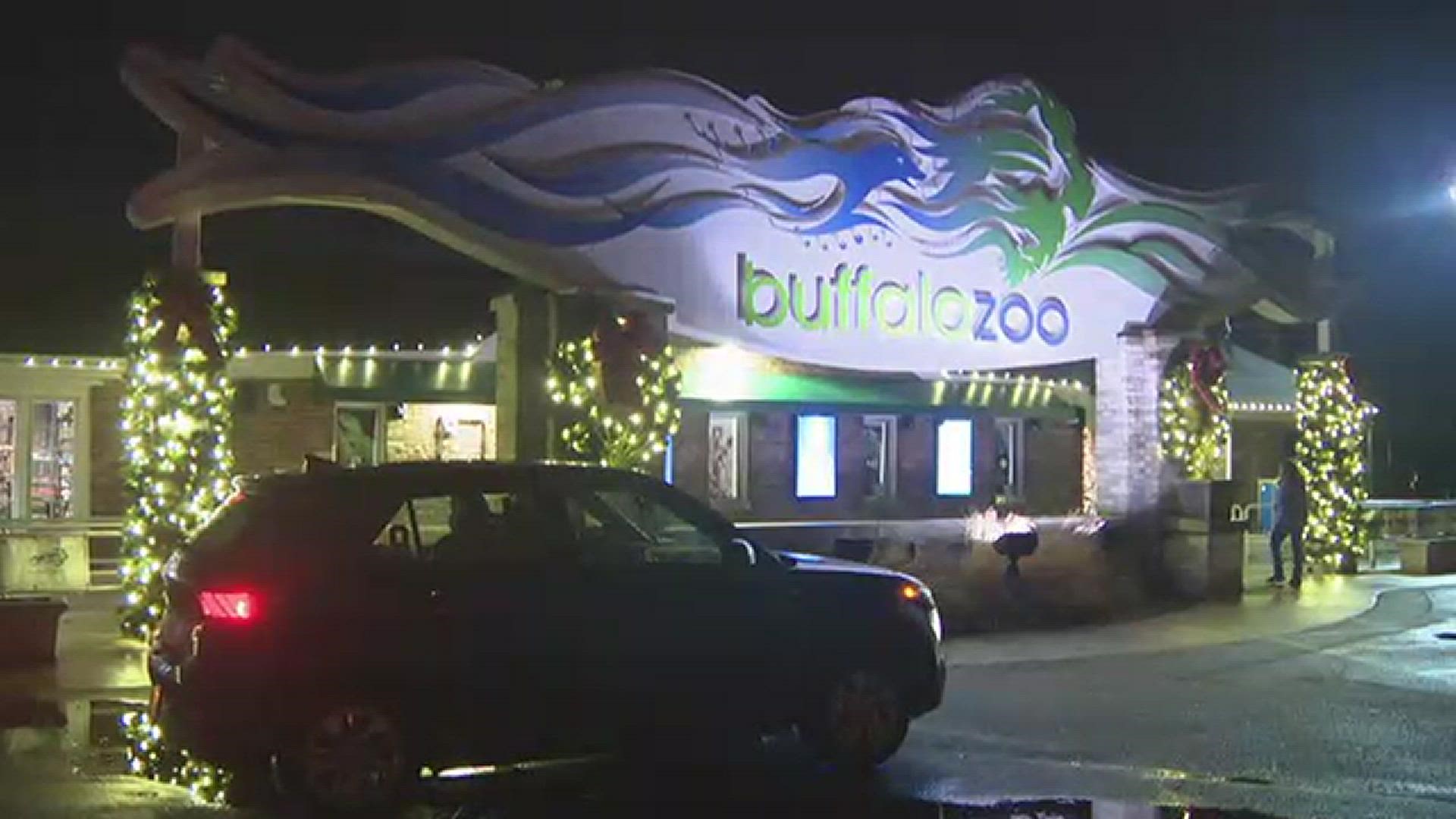 Buffalo Zoo Lights