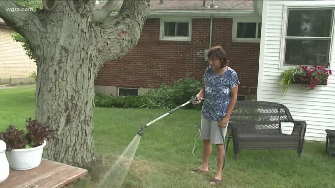 2 the Garden How much water do plants need?