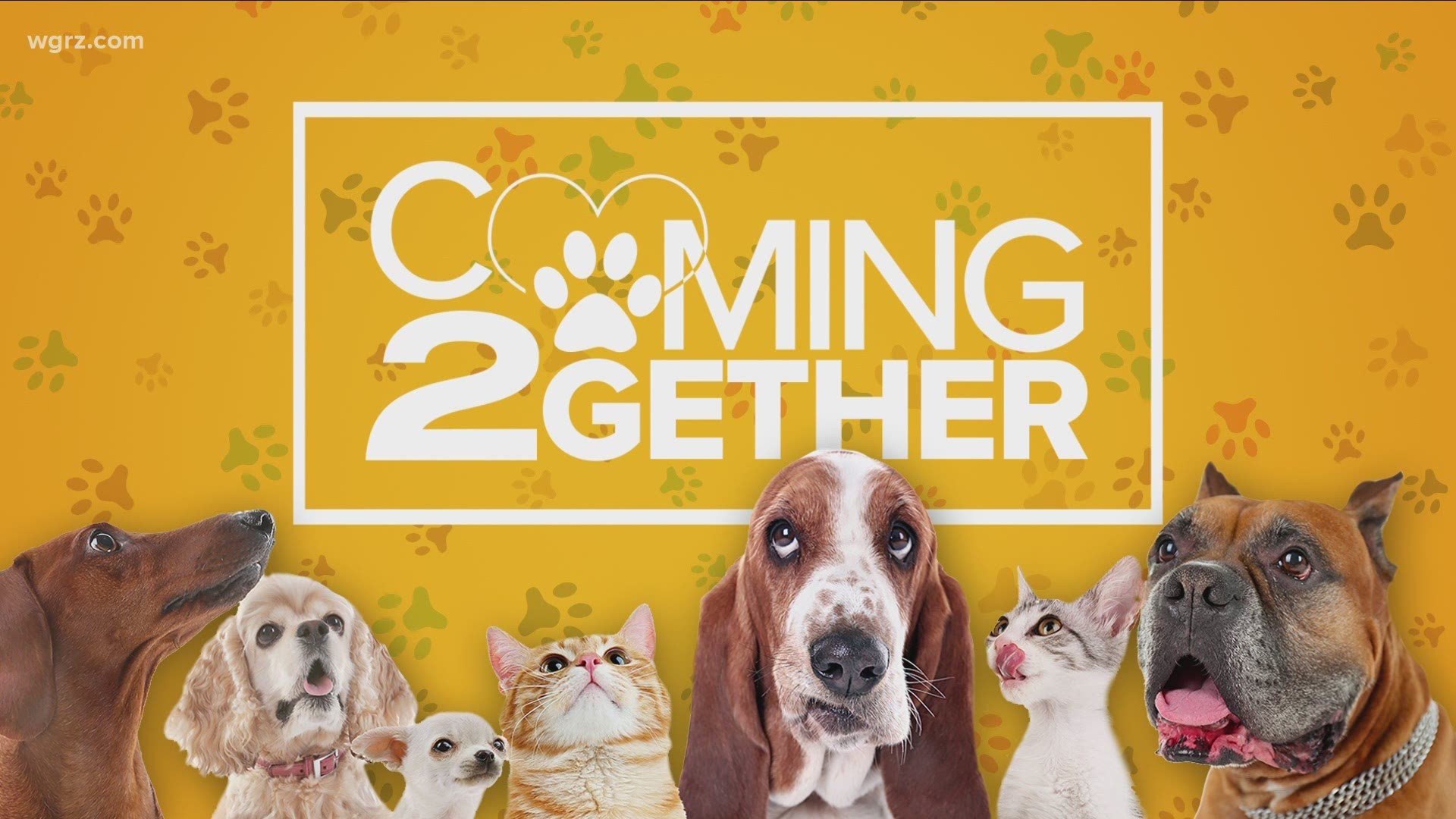 Coming 2together for pets food drive tally