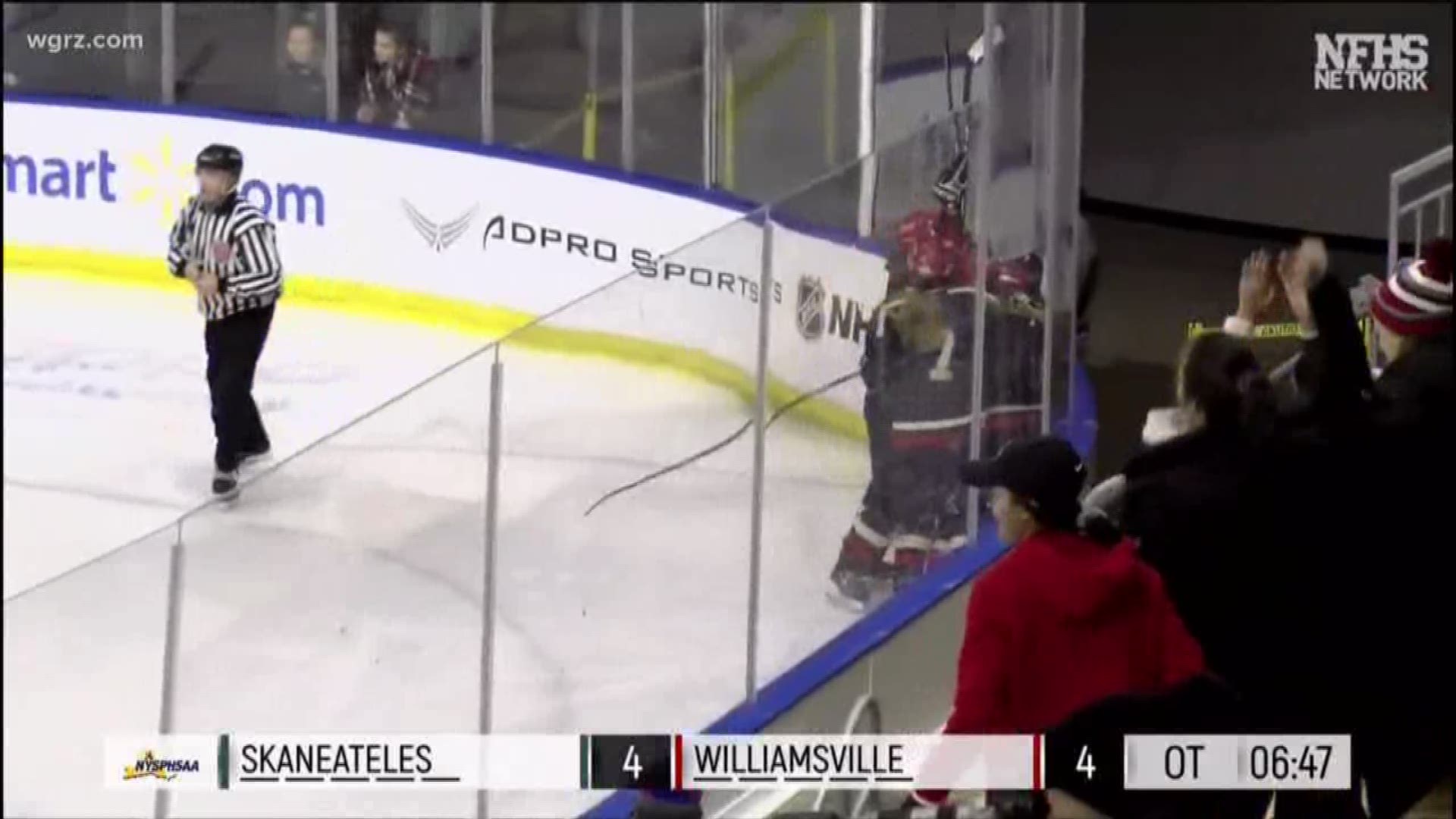 Williamsville girls hockey wins state title