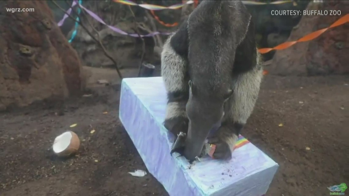 special drink for Haji. That would be a big glass of "bug juice"... made of peanut butter, insects and water.