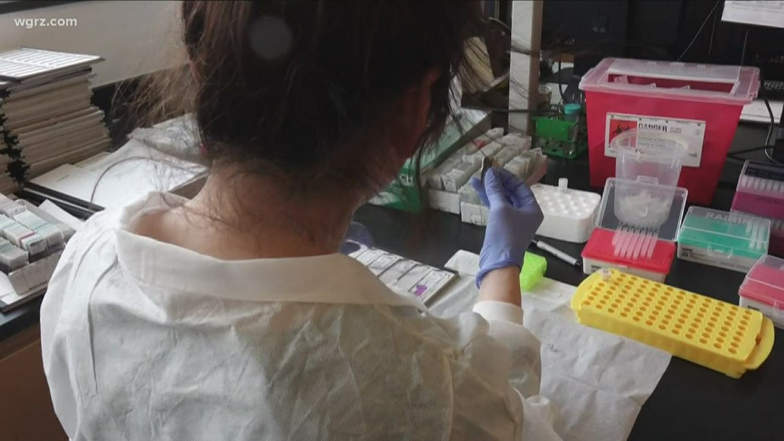 Kaleida Health puts focus on 'rapid antibody' tests