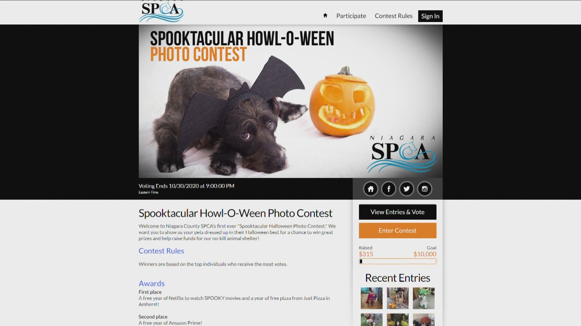 The Niagara County SPCA is throwing a "spook-tacular howl-o-ween" photo contest and fundraiser.