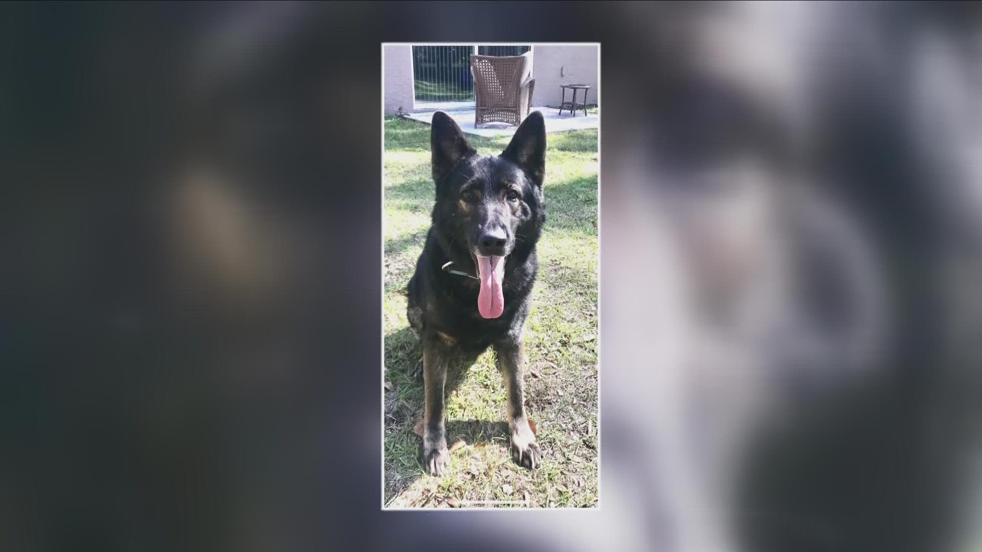 BPD K9 dies