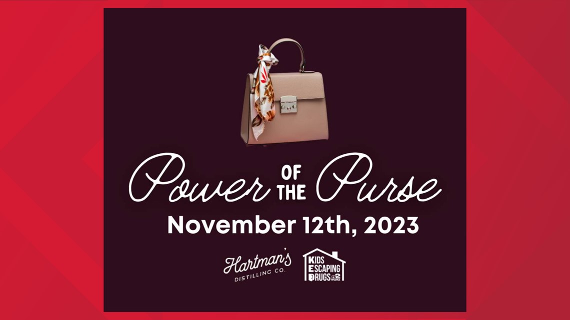 Amazon.com: Power of the Purse: Fear-Free Finances for Baby Boomer Women  eBook : Evans, Lynn S.: Kindle Store