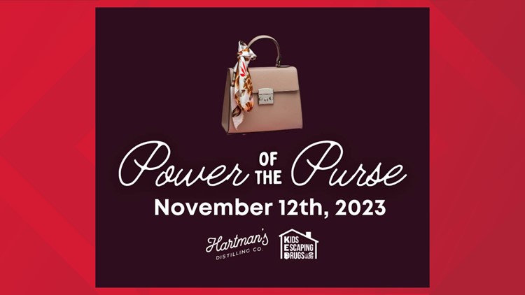 Power of the Purse: Fear-Free Finances for Baby Boomer Women eBook : Evans,  Lynn S.: Amazon.in: Kindle Store