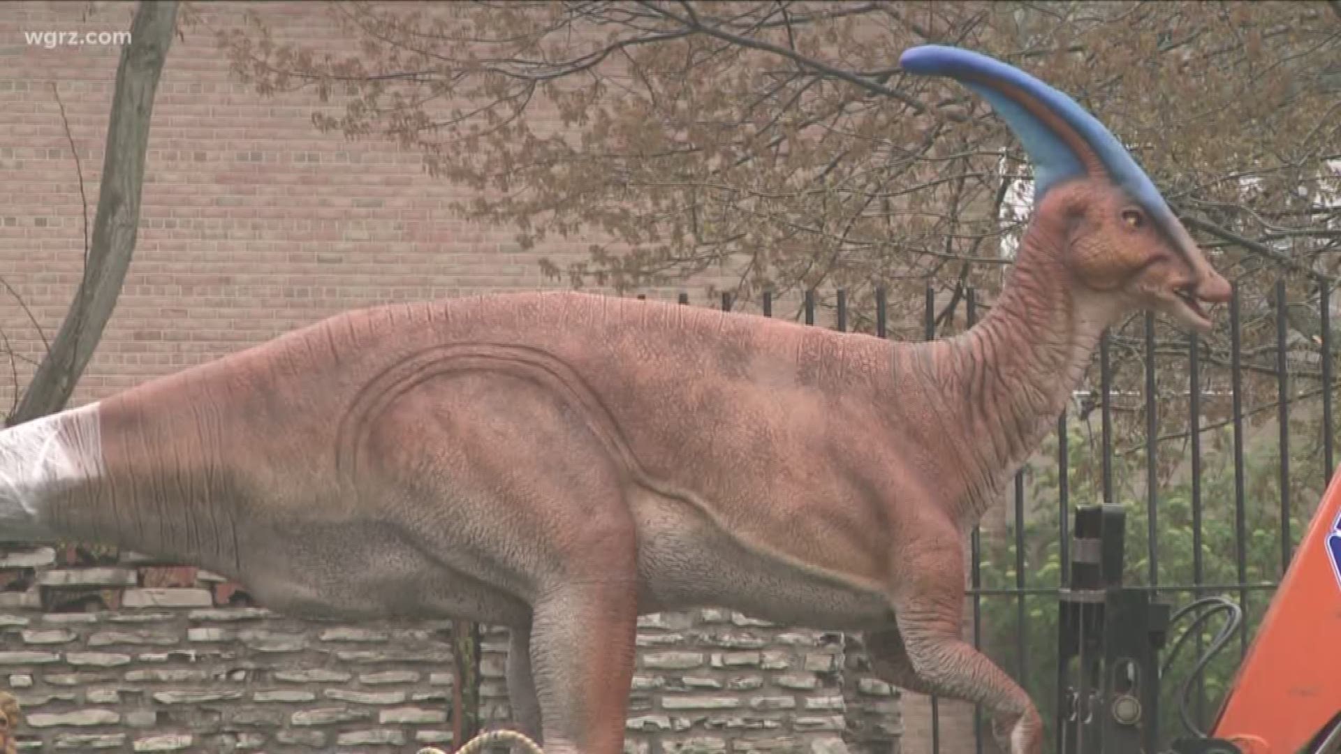 OMG DINOSAURS OPENS WILL BE ON DISPLAY STARTING THIS SATURDAY MORNING, THROUGH LABOR DAY