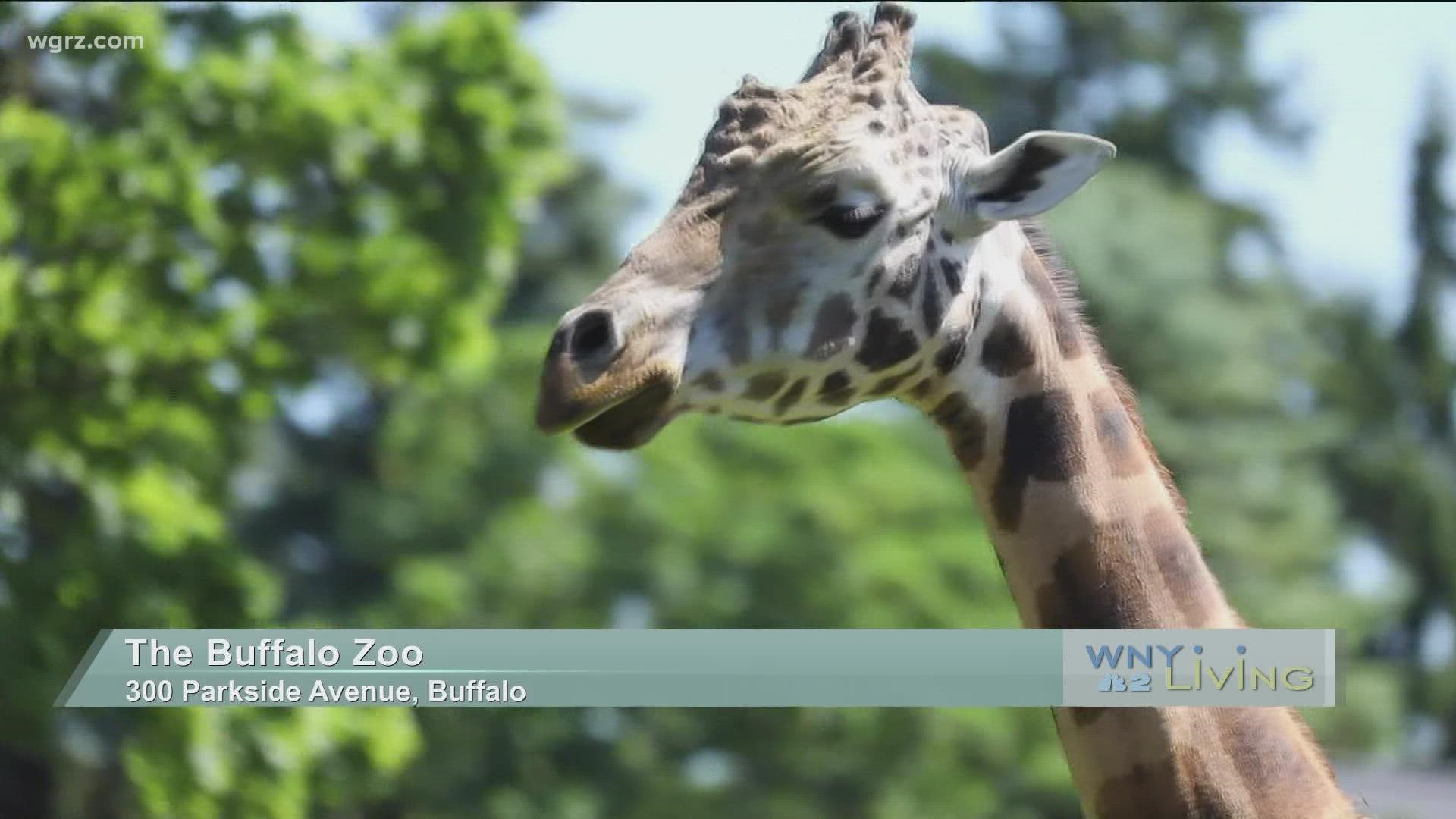 WNY Living - September 18 - The Buffalo Zoo (THIS VIDEO IS SPONSORED BY THE BUFFALO ZOO