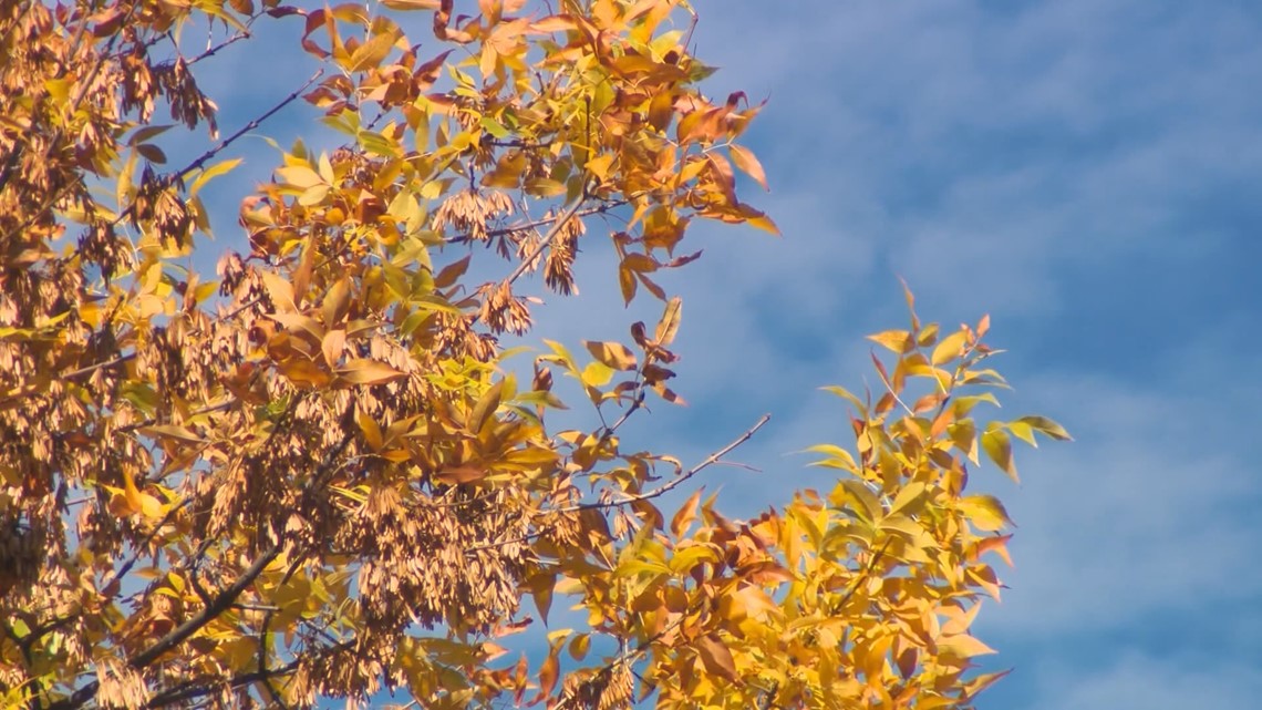 NYS fall foliage tourism update - Vimarsana News