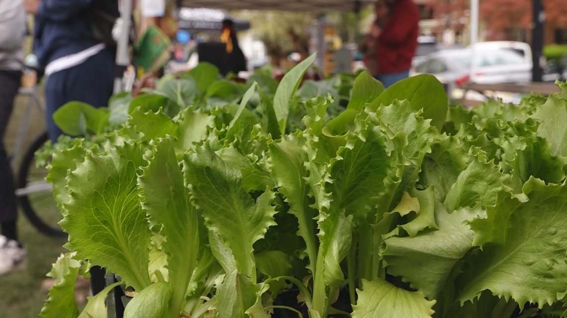 Take a trip to the Elmwood Village Farmer's Market. From fresh produce to bread, live music, and camaraderie, it's a sure sign of Buffalo spring
