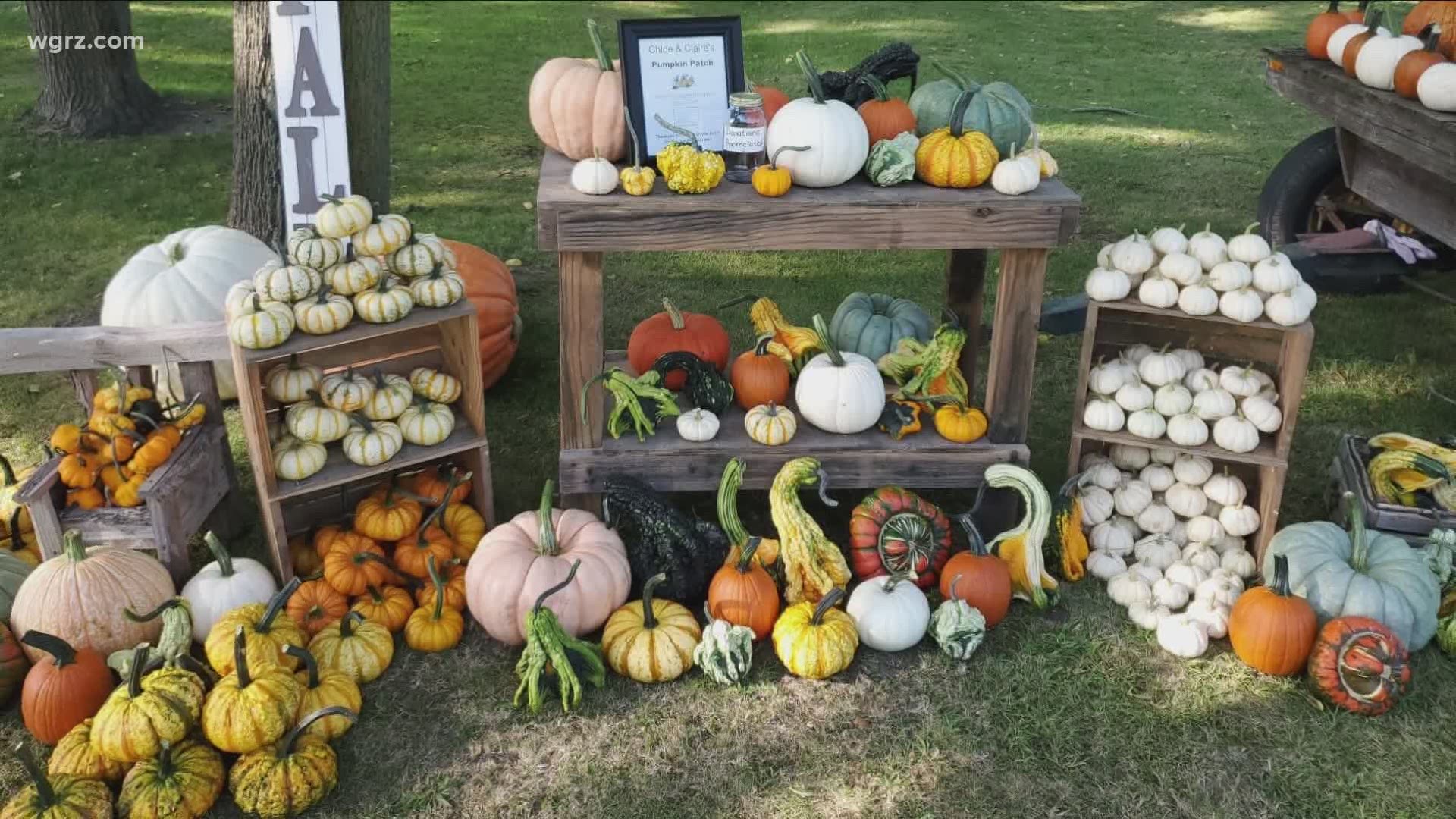Visitors pay what they can afford at the Lamb family pumpkin stand in Genesee County. Every penny earned is donated to local charities, totaling $16,000 over 6 yrs.