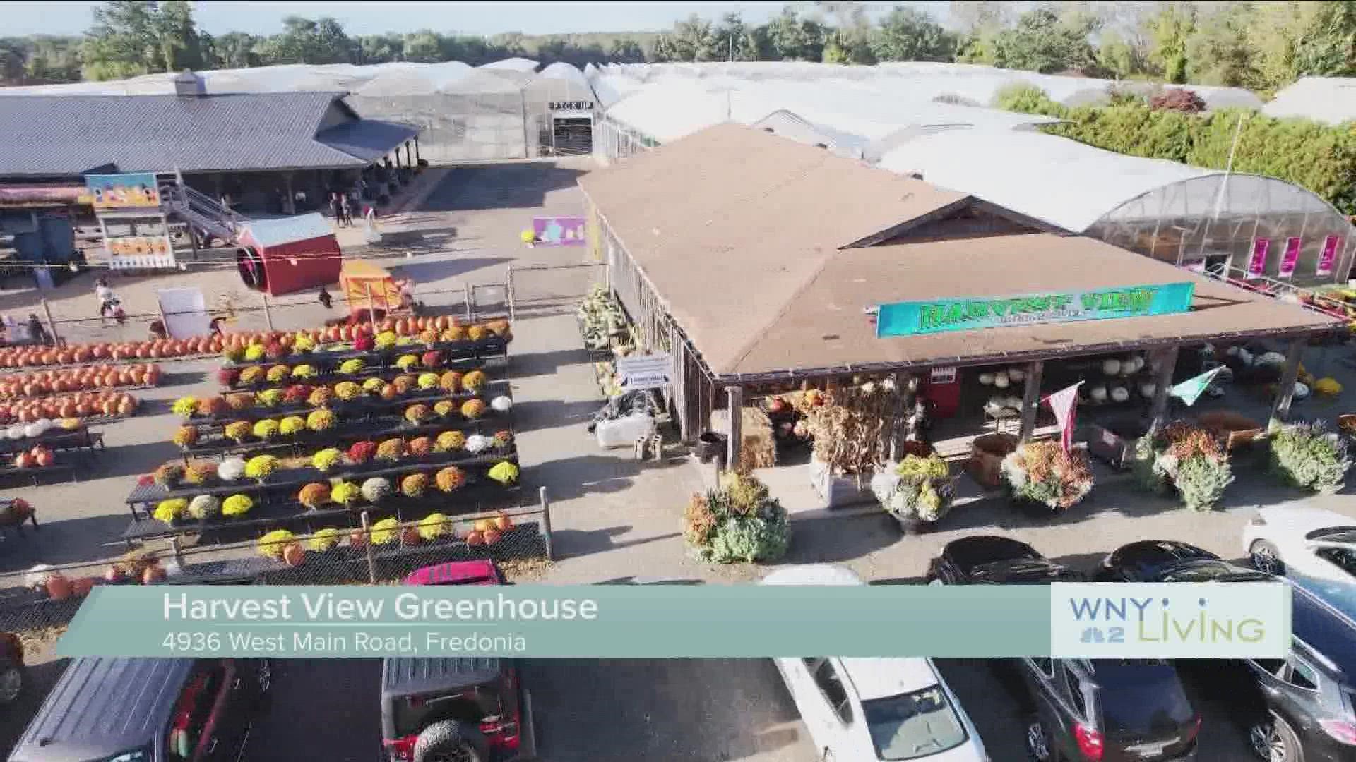 WNY Living - October 1 - Harvest View Greenhouse (THIS VIDEO IS SPONSORED BY HARVEST VIEW GREENHOUSE)