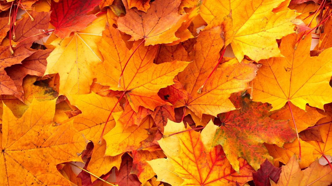 When will the fall-like weather return?