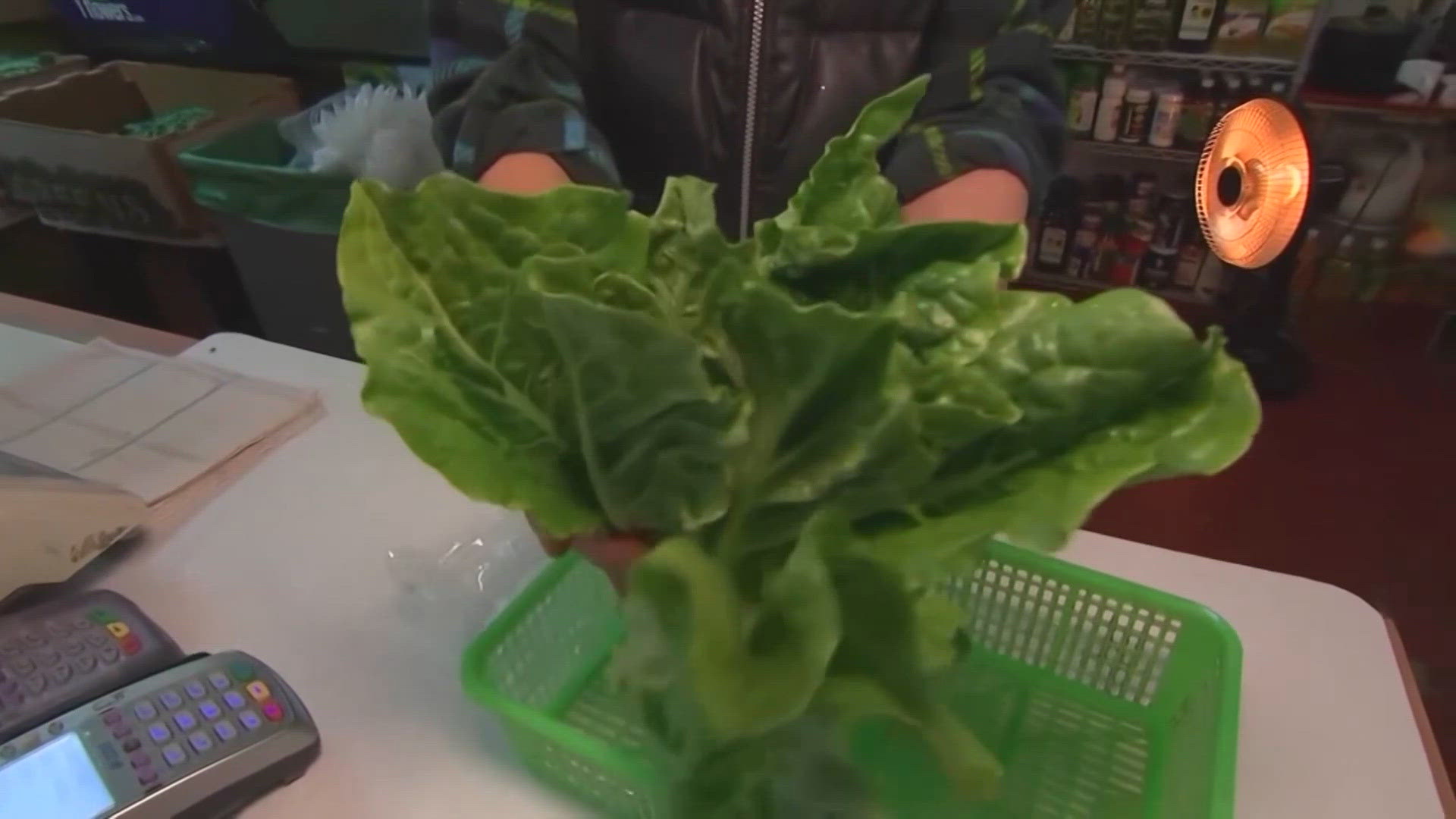 FDA: Cyclospora outbreak data still points to Taylor Farms lettuce ...