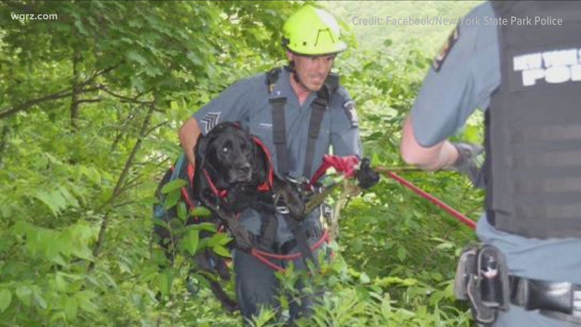 Achilles broke a rear leg during the fall but was okay otherwise. The Genesee High Angle Rope Rescue team was able to snag him and reunite him with his family.