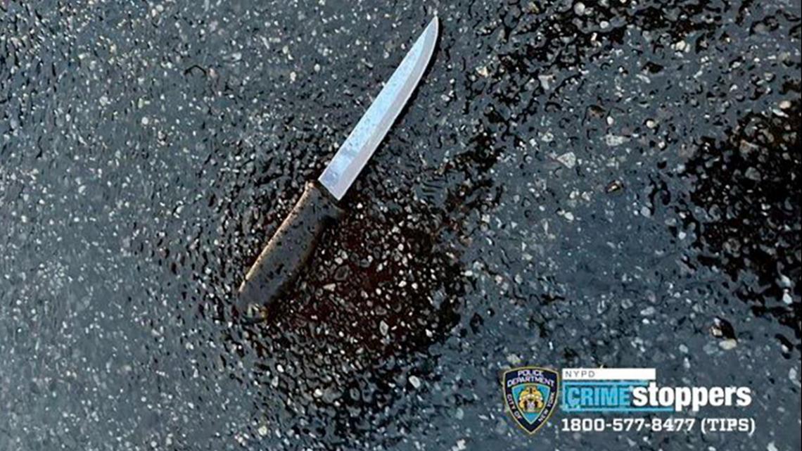 Queens stabbing deaths | wgrz.com - Vimarsana News