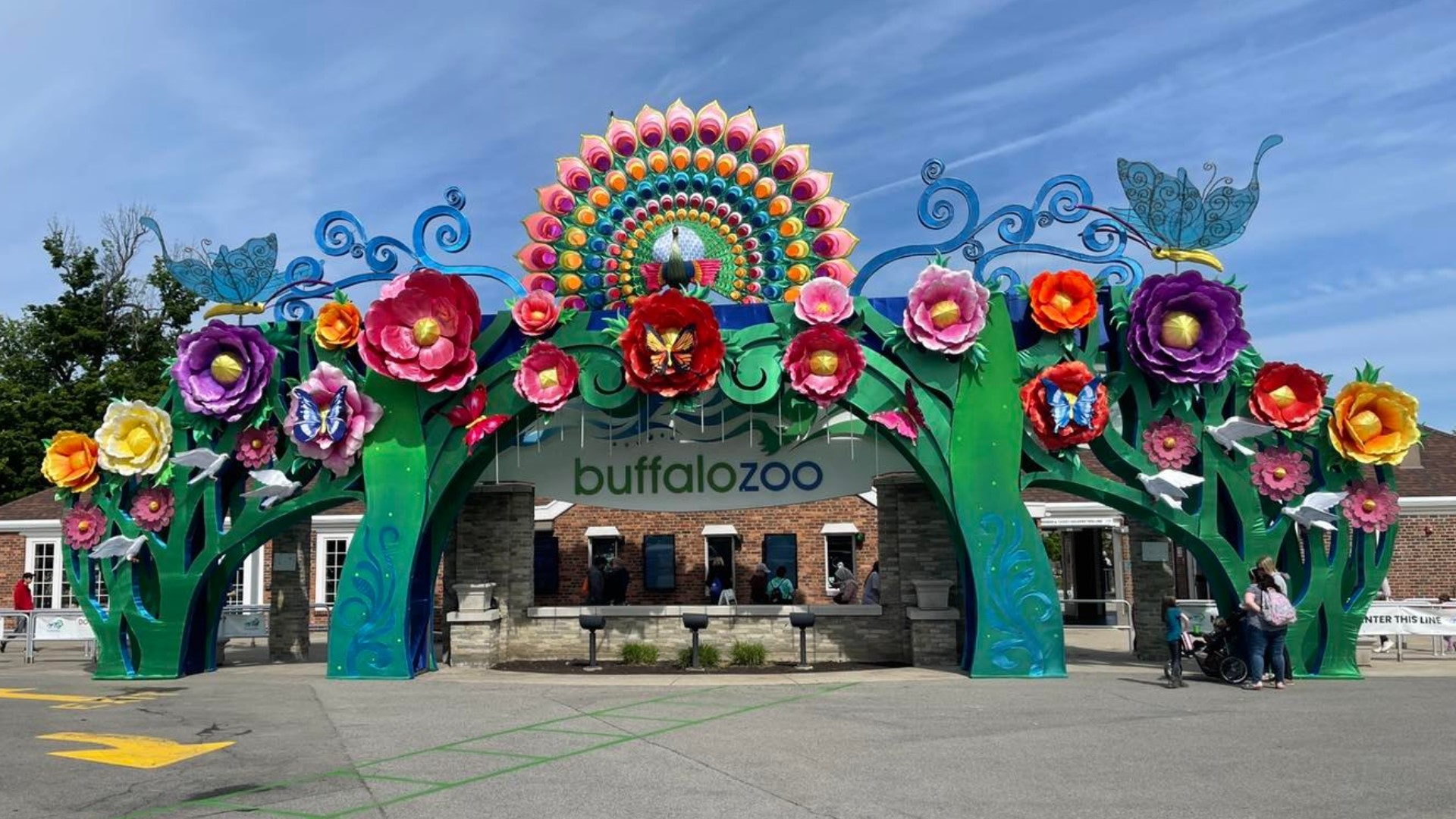 New immersive display coming to the Buffalo Zoo this summer | wgrz.com