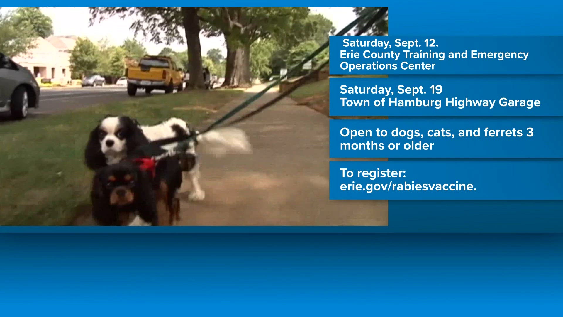Erie County announces free rabies clinics for pets