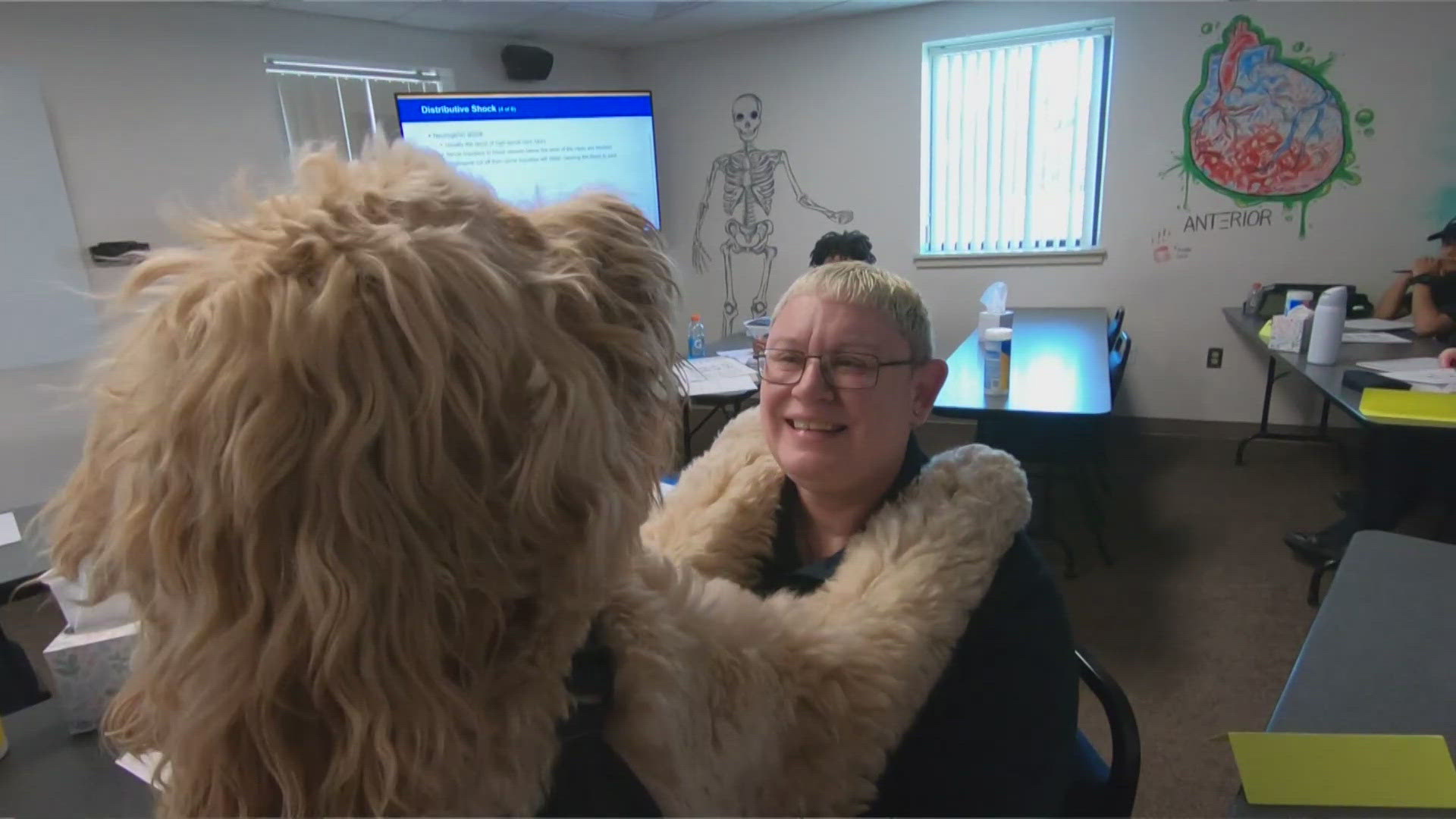 Therapy dog Rosco lifts spirits of first responders in support program ...