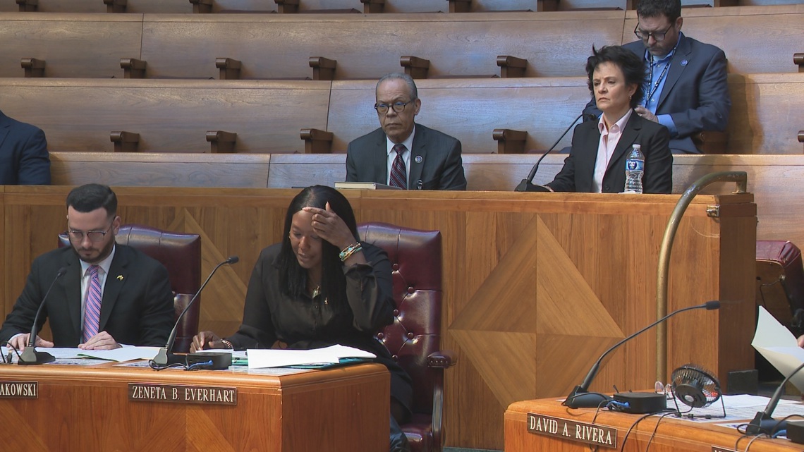 BPD Commissioner candidate Erika Shields questioned by City Council on past roles in Atlanta and Louisville