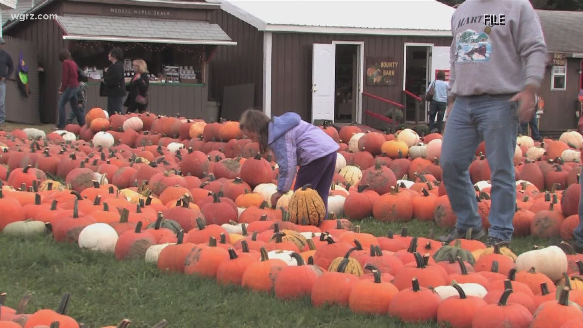 Pumpkinville announced Tuesday that it will be opening this weekend