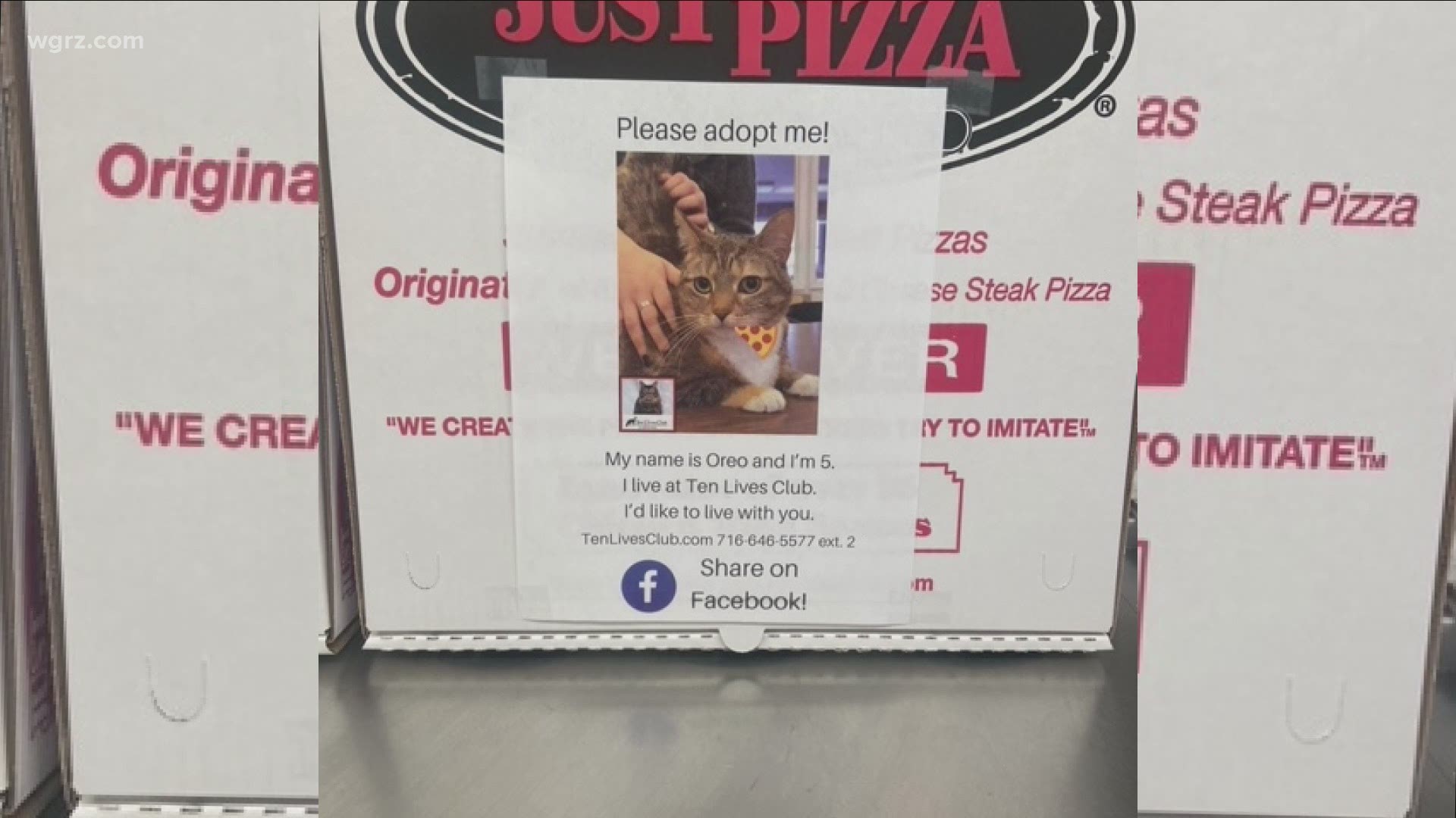On National Pizza Day, you can order a pizza and help a cat at Just Pizza.