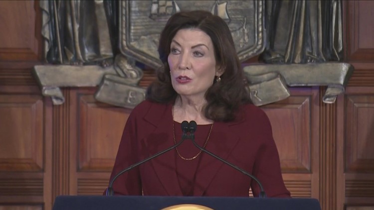 More details provided on Hochul's mental health care in the new budget