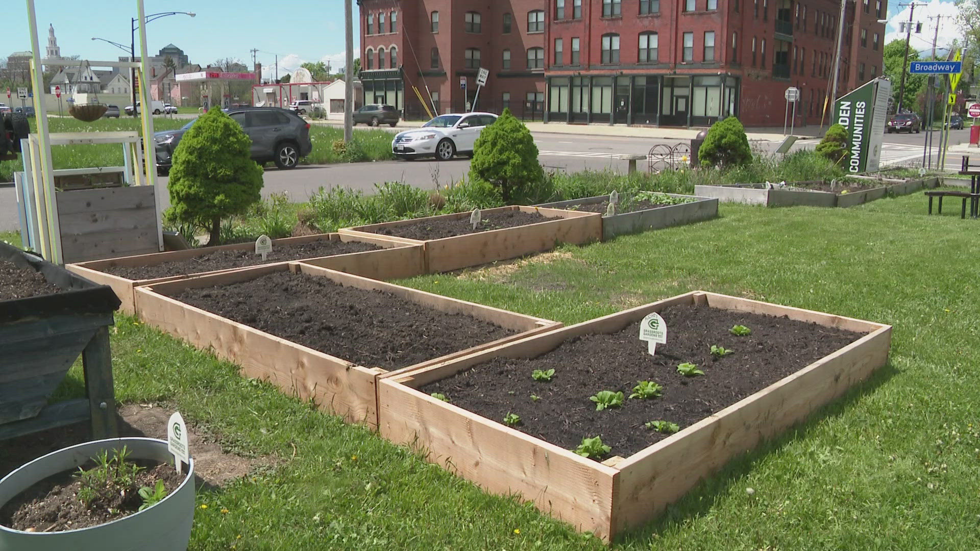 Grassroots Gardens Western New York a group that has eighty gardens across Buffalo.. half on the East Side. The demand for the gardens, is all community driven.