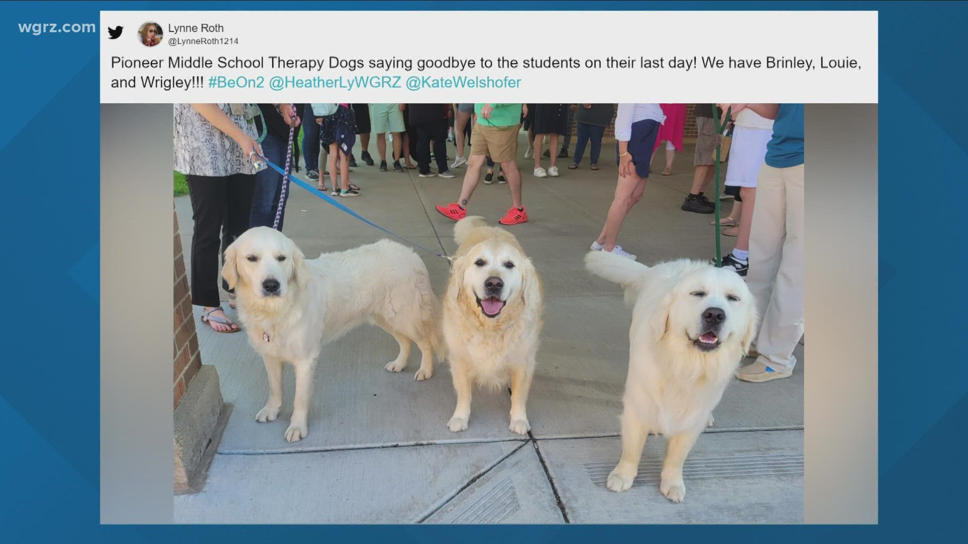 Brinley, Louie, and Wrigley said goodbye to the Pioneer Middle School students on their last day of the school year.