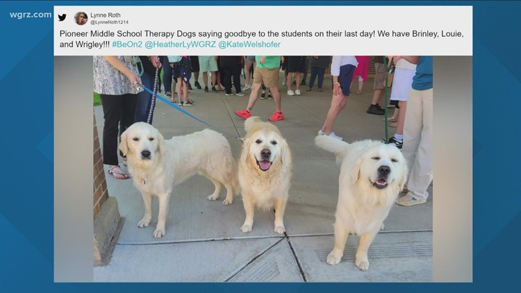 Pioneer Middle School therapy dogs said goodbye to students on their last day
