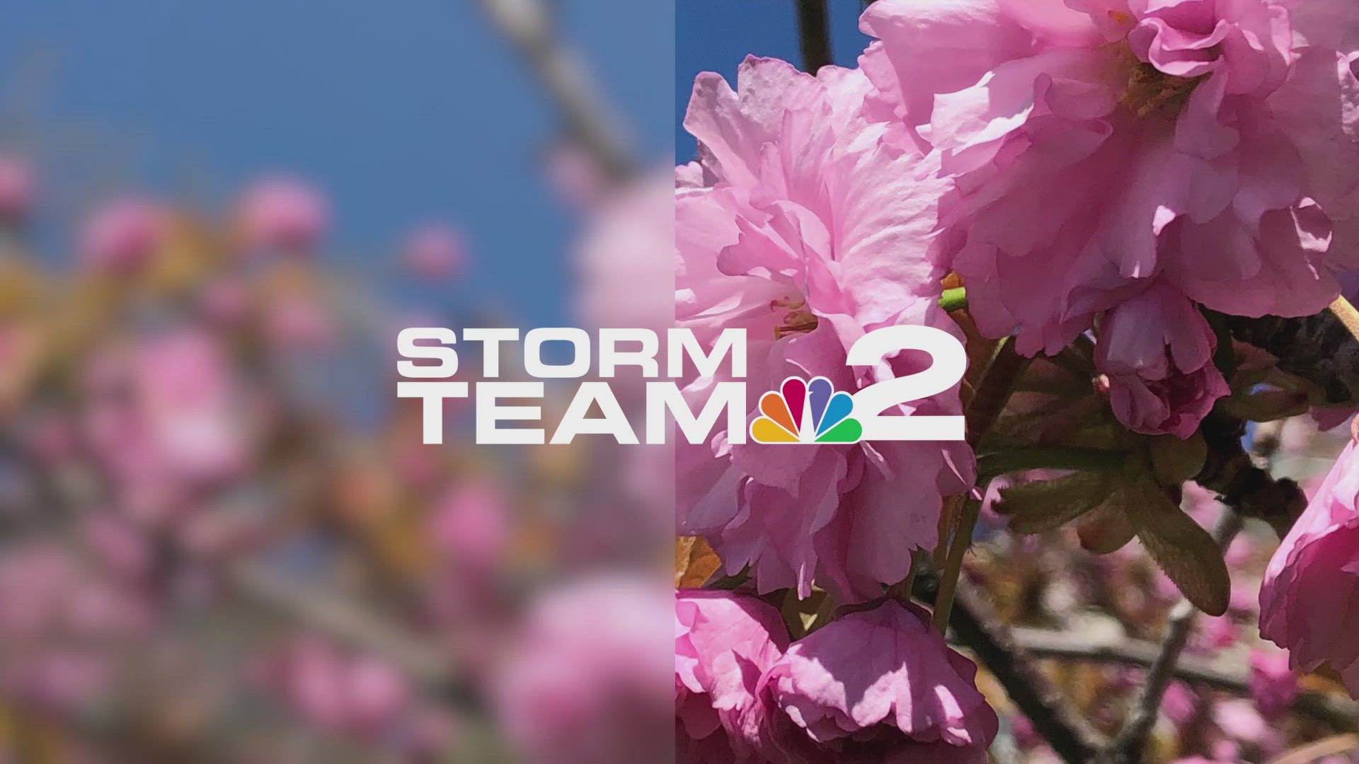 Daybreak Storm Team 2 Weather Forecast with Patrick Hammer 4/4/25