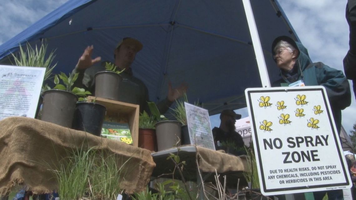 Erie County Parks teamed up with local gardening groups to bring a Pollinator Festival to Emery Park this spring.